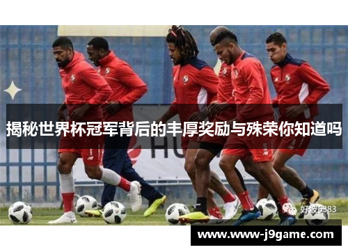 揭秘世界杯冠军背后的丰厚奖励与殊荣你知道吗