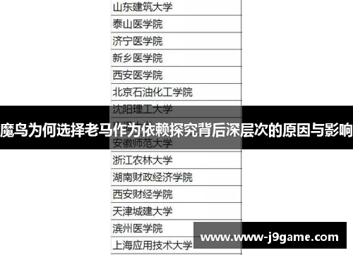 魔鸟为何选择老马作为依赖探究背后深层次的原因与影响